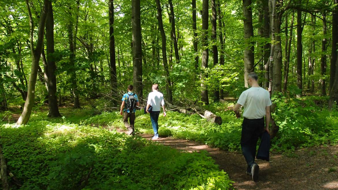 Trauernde Eltern & Kinder Rhein-Main e.V. – Bild 3