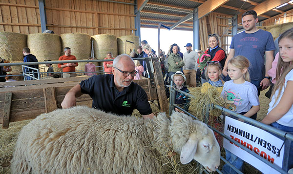 Schafhof Drachenhöhle – Bild 2