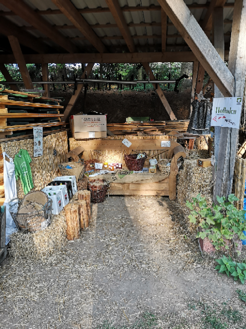 Schafhof Drachenhöhle – Bild 5