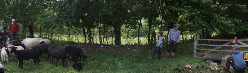 Schafhof Drachenhöhle – Bild 6