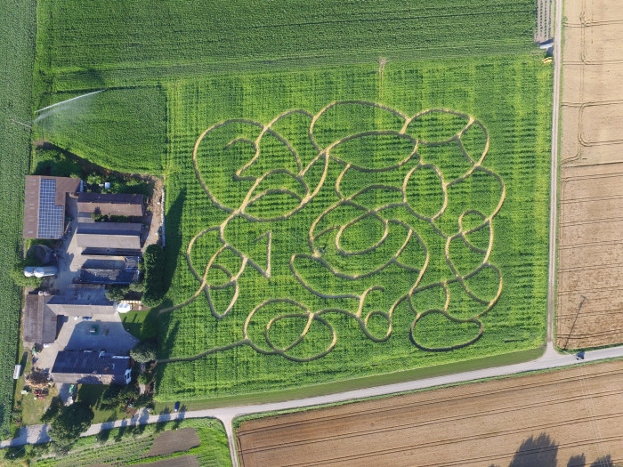 Hockenheimer Maislabyrinth – Bild 3