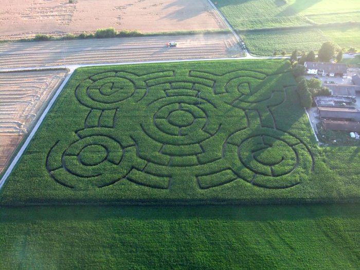 Hockenheimer Maislabyrinth – Bild 4