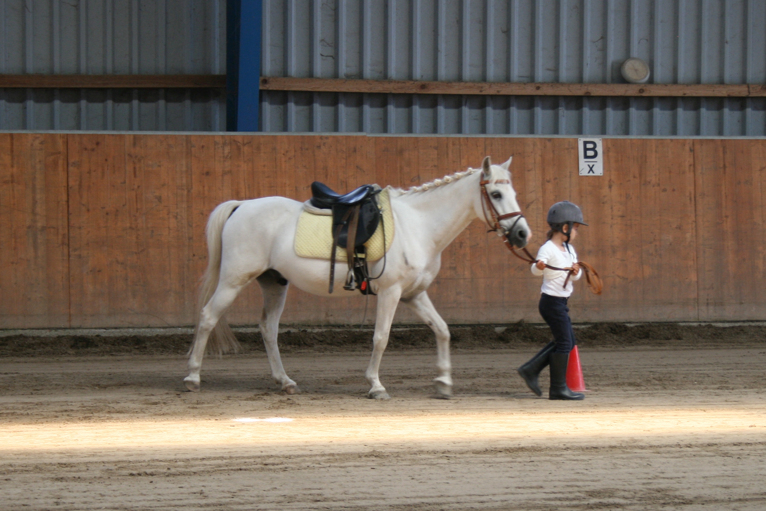 Kinderreitsportzentrum Ulrike Mohr – Bild 3
