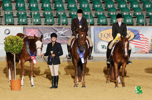 Kinderreitsportzentrum Ulrike Mohr – Bild 5