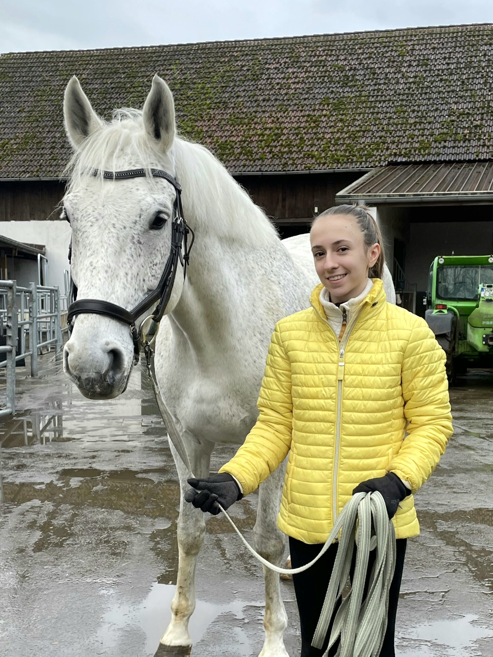 Kinderreitsportzentrum Ulrike Mohr – Bild 6
