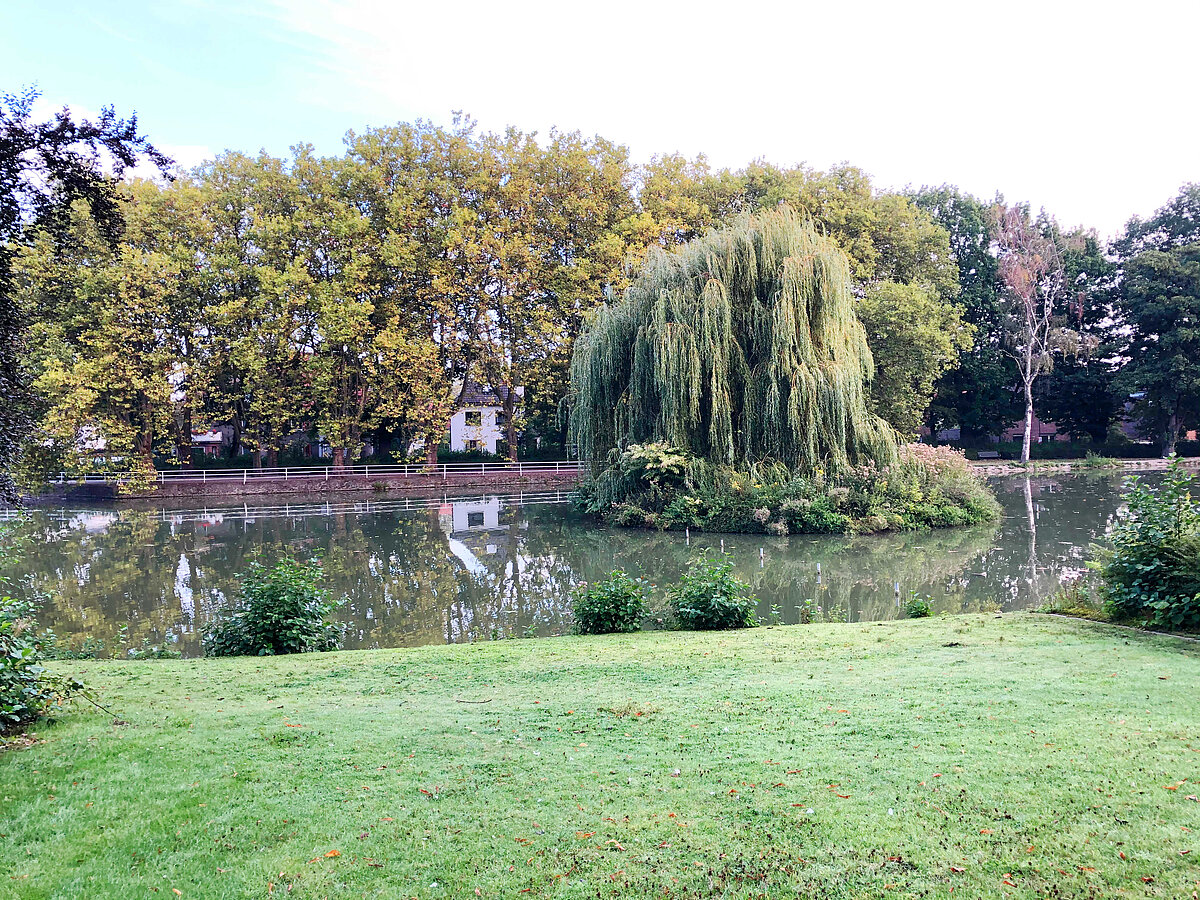 Stadtgarten Castrop-Rauxel – Bild 4