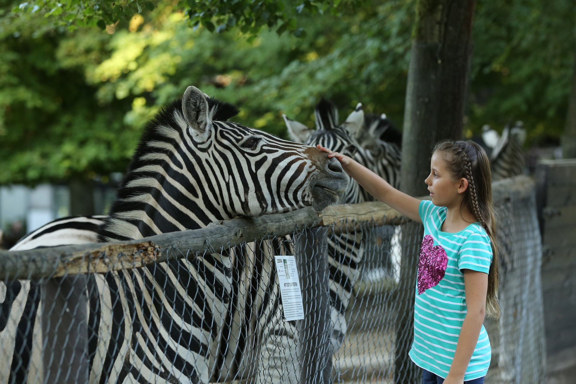 Tierpark Bretten – Bild 1