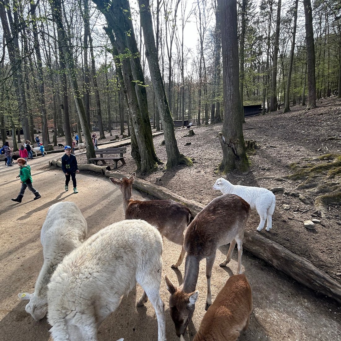Tierpark Bretten – Bild 4