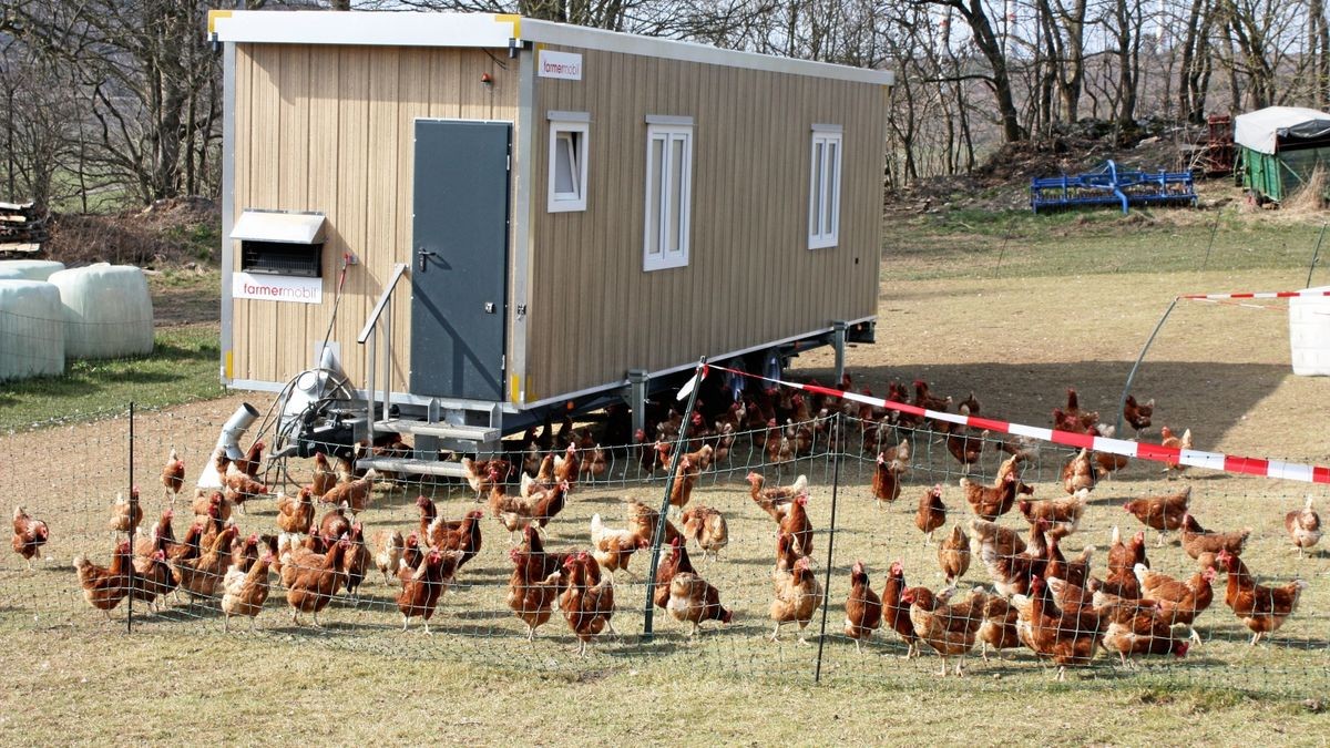 Familienhof Becker: Hermann & Bettina Becker GbR/ Hermann Becker: Landwirtschaftliches Lohnunternehmen, Briloner Heizholz – Bild 3