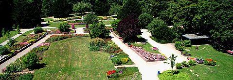 Jubiläumshain – Bild 1