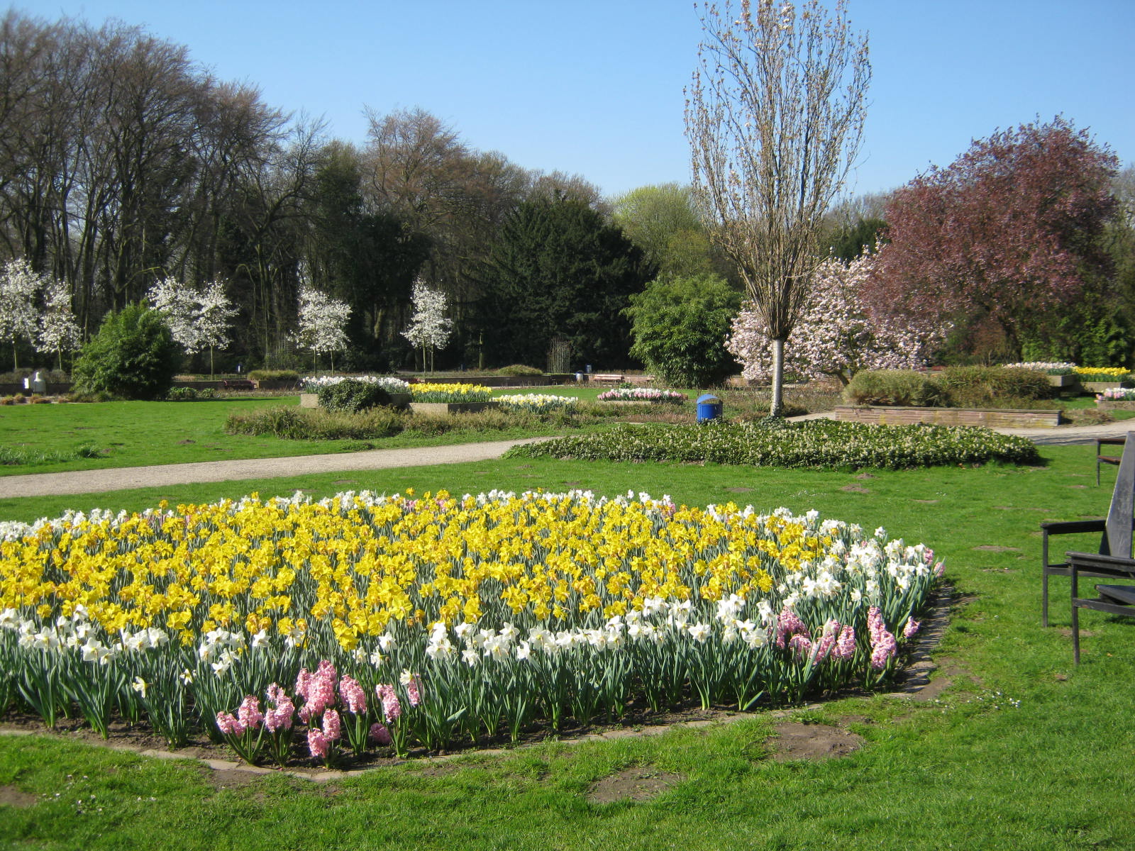 Jubiläumshain – Bild 4