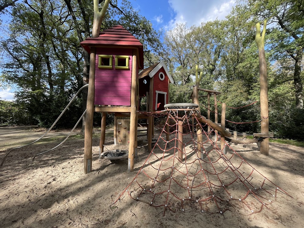 Jubiläumshain – Bild 6