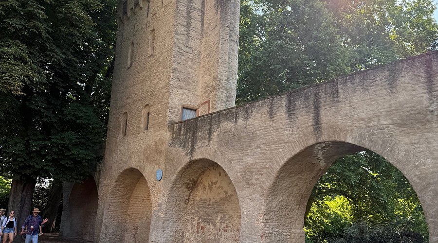 Domgarten Speyer – Bild 5