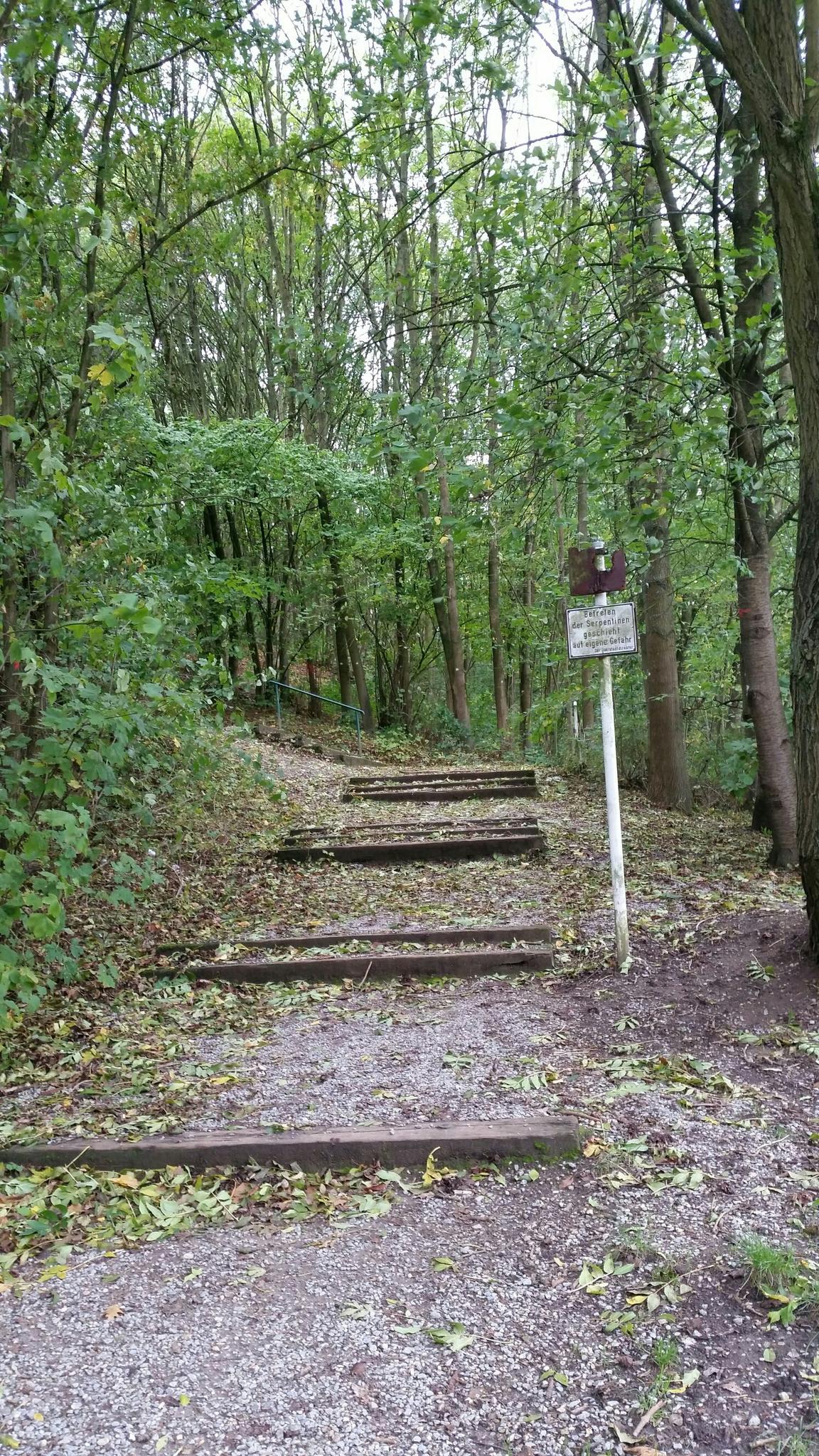 Stadtwald Rheydt – Bild 4