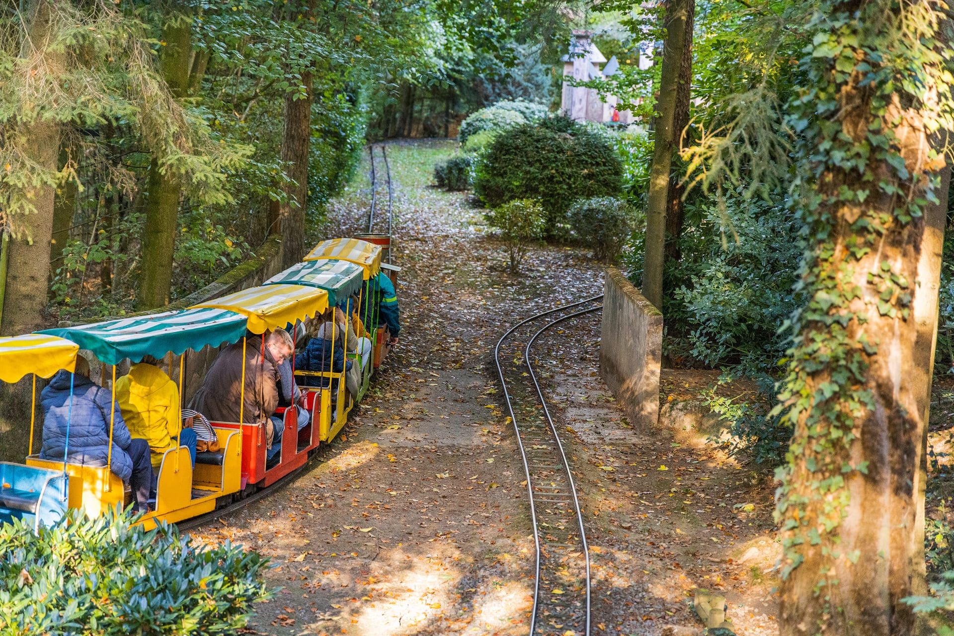 Märchenwald Sommerrodelbahn – Bild 4