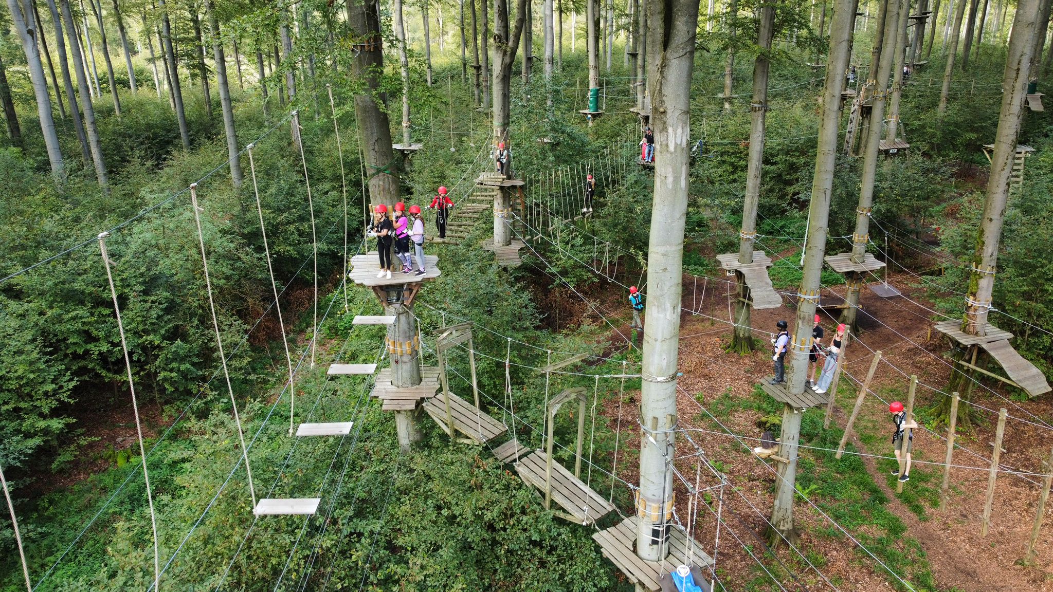 Kletterwald / Kletterpark Kassel, der Kletterfreizeitpark – Bild 1