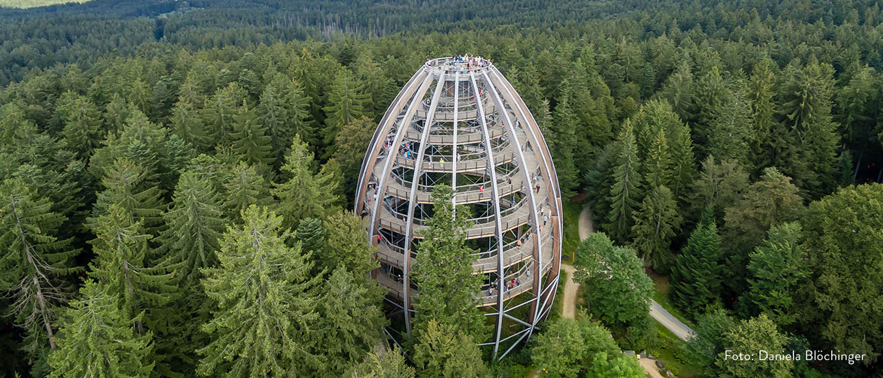 Hans-Eisenmann-Haus – Bild 5