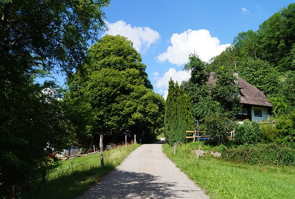 Ferienwohnung Vorderhof - Familie Schmid – Bild 2