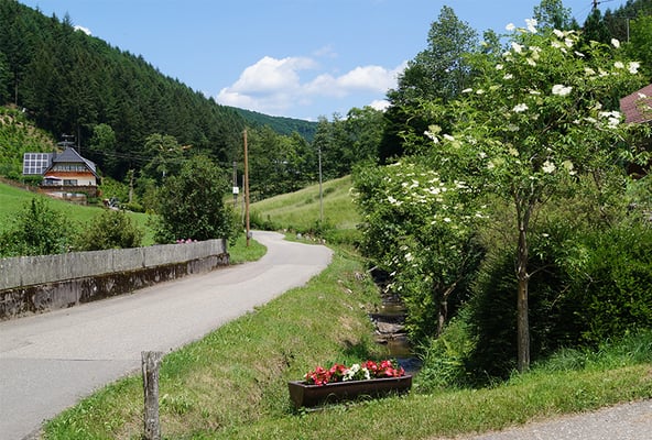 Ferienwohnung Vorderhof - Familie Schmid – Bild 3