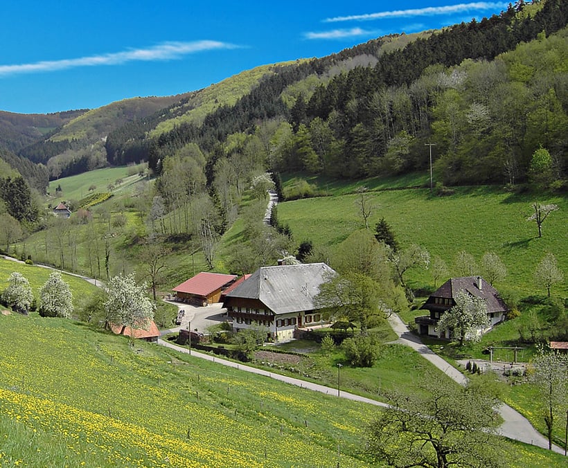 Ferienwohnung Vorderhof - Familie Schmid – Bild 5