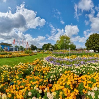 Mini-Park in der Blumenstraße – Bild 6