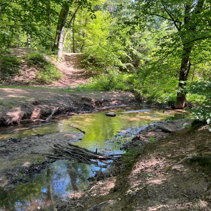 Wildgehege Brück – Bild 6