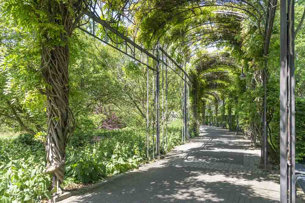 MüGa - Mülheims Garten an der Ruhr – Bild 4