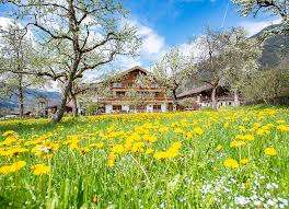 Paulerhof - Bio und Vitalbauernhof – Bild 5