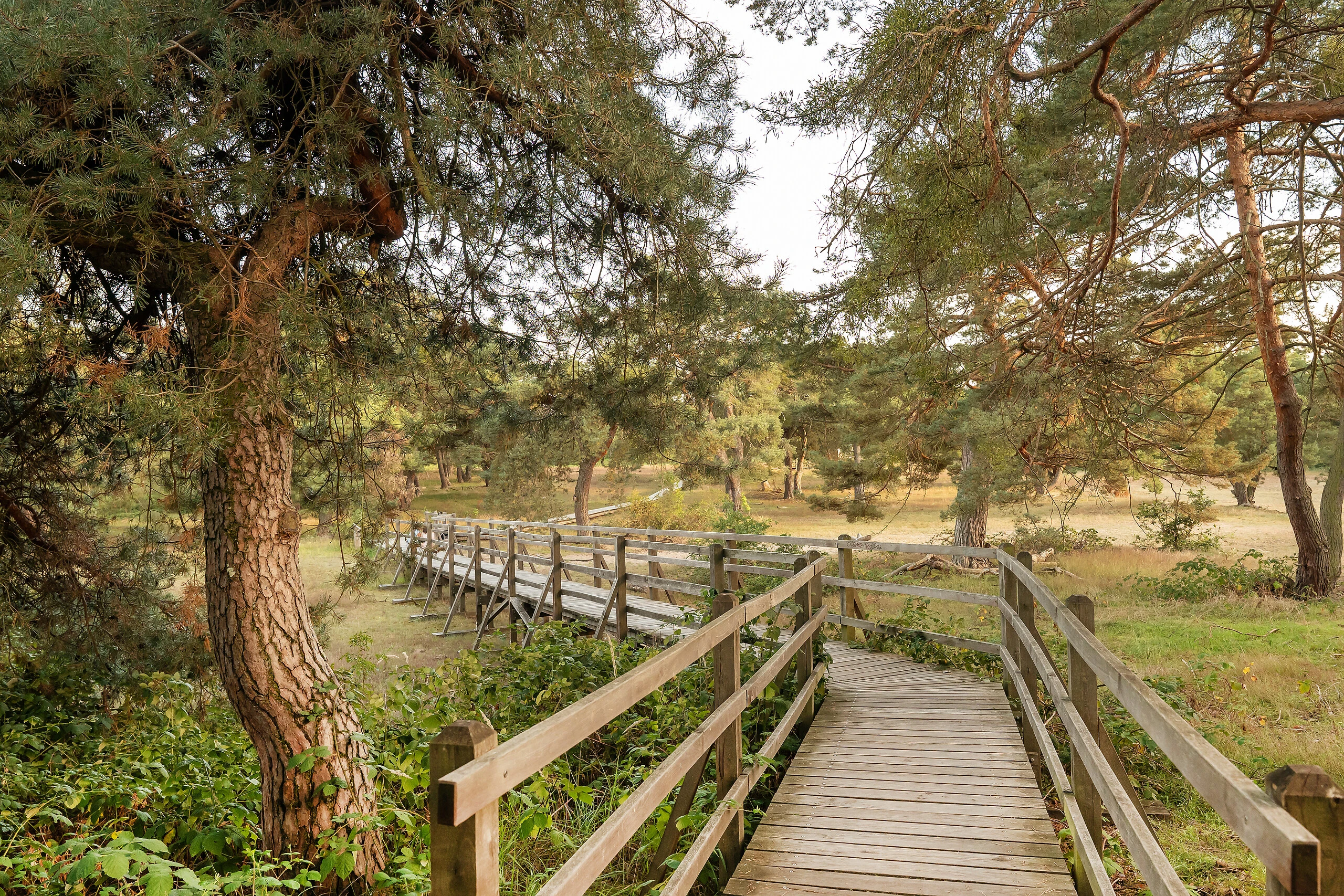 Grüngürtel – Bild 6