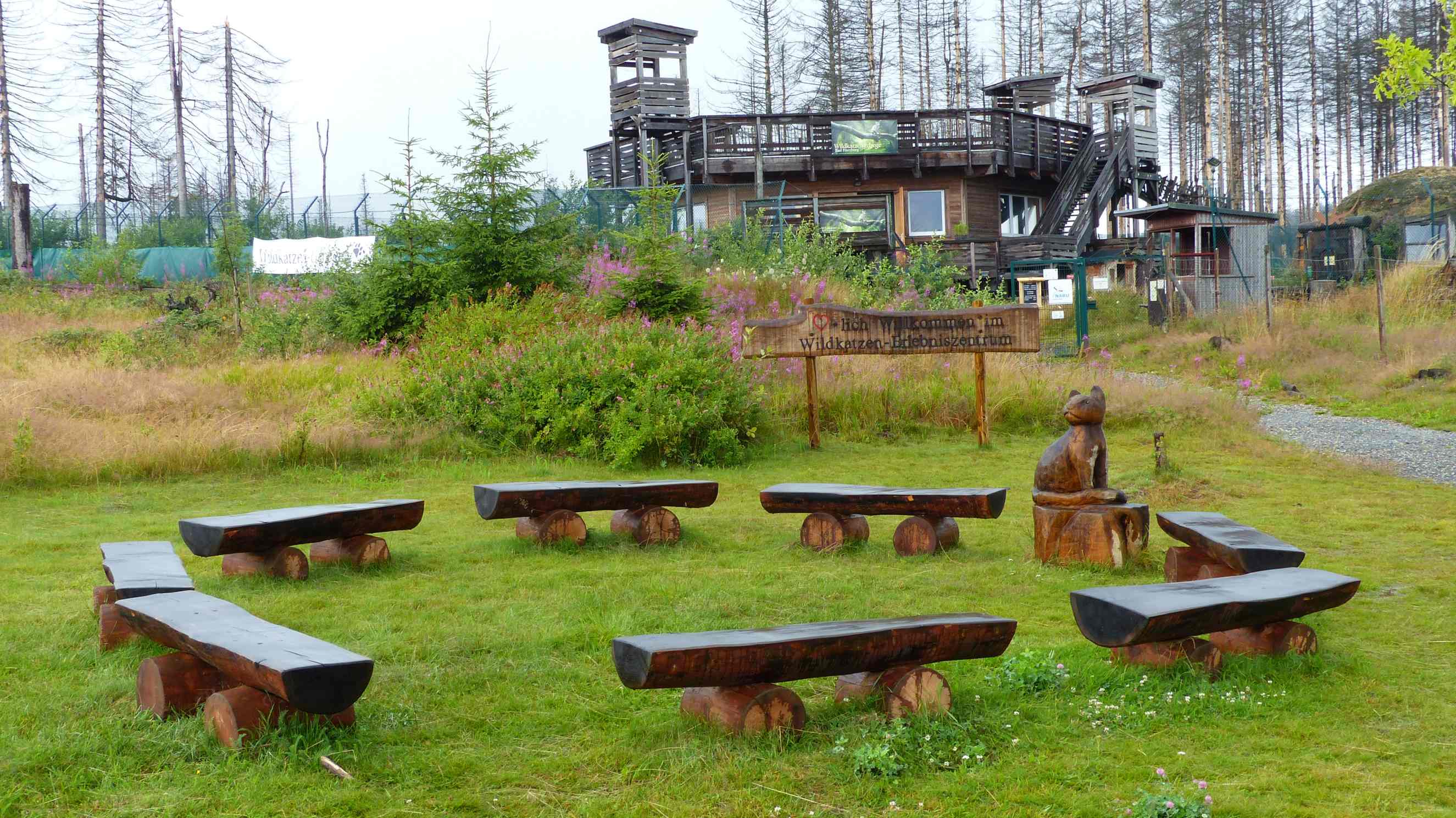 Wildkatzen-Erlebniszentrum Bad Harzburg – Bild 1