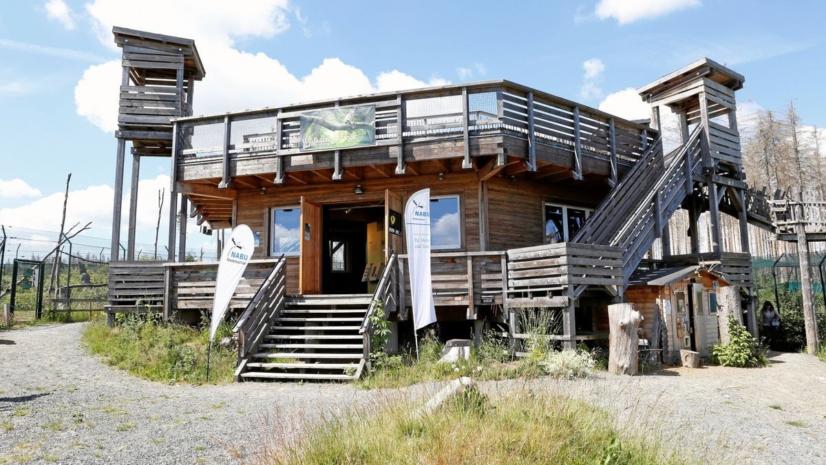 Wildkatzen-Erlebniszentrum Bad Harzburg – Bild 3