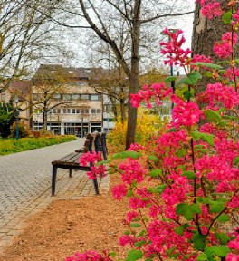 Park Ditzingen – Bild 2