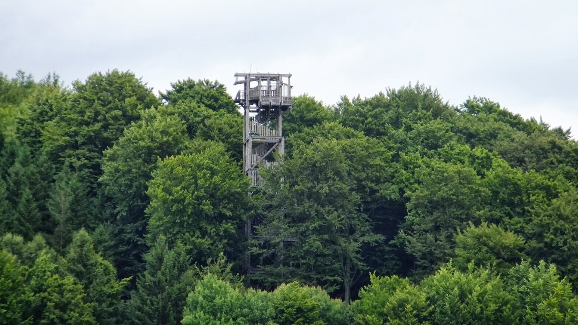 Erlebniswald Solling – Bild 2