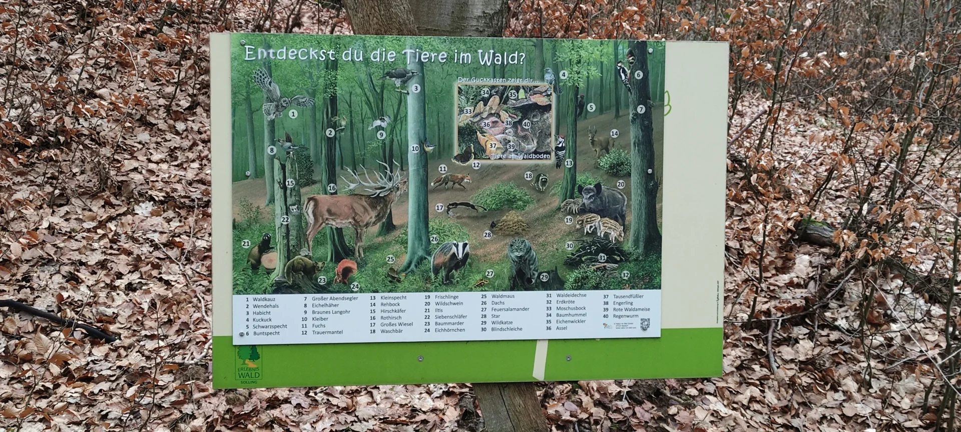 Erlebniswald Solling – Bild 3