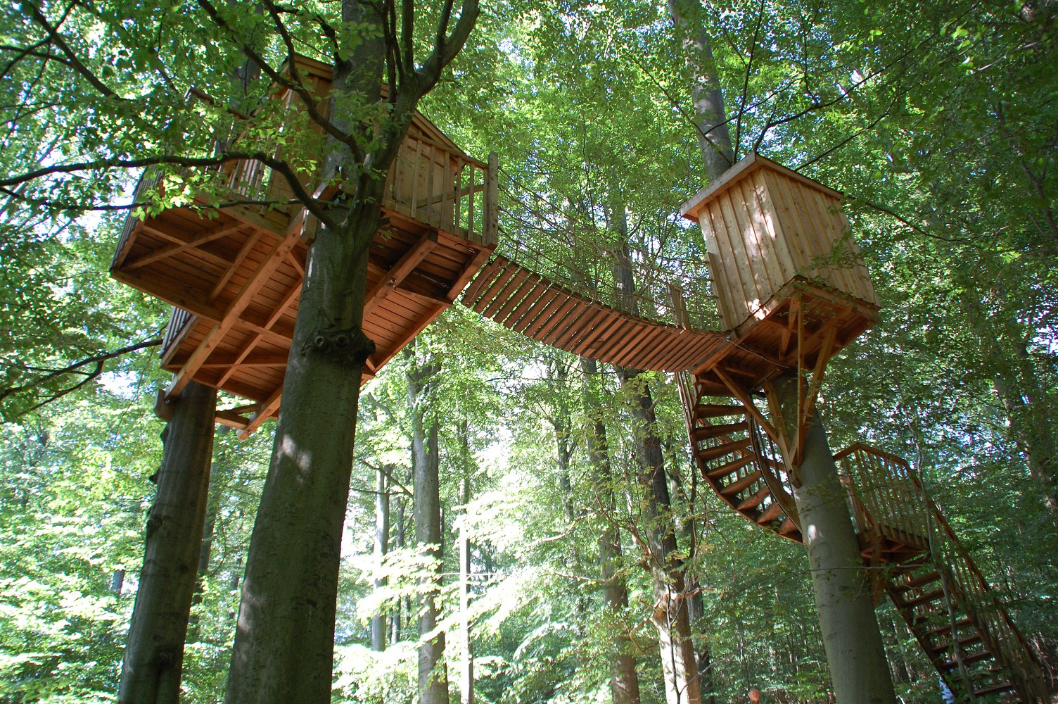 Erlebniswald Solling – Bild 4