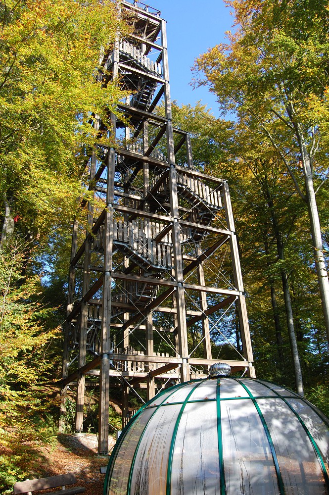 Erlebniswald Solling – Bild 5