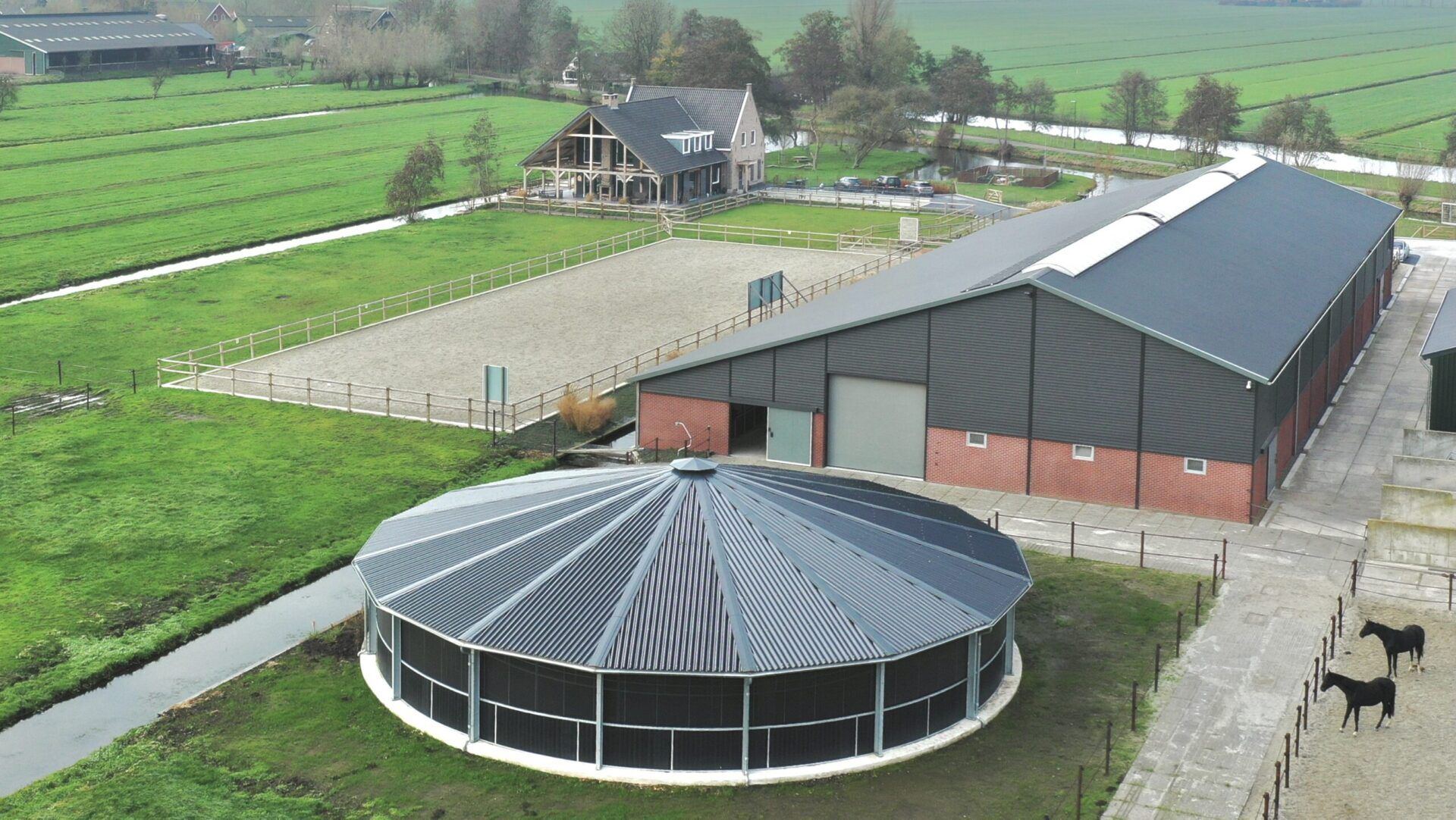 Vom Zwerghase Bis Zum Pferd – Bild 4