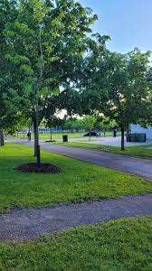 Gohier Park – Bild 2