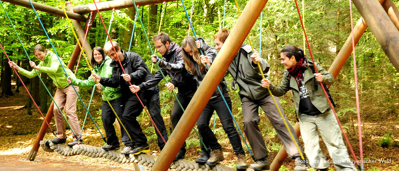 Waldspielgelände Spiegelau – Bild 2