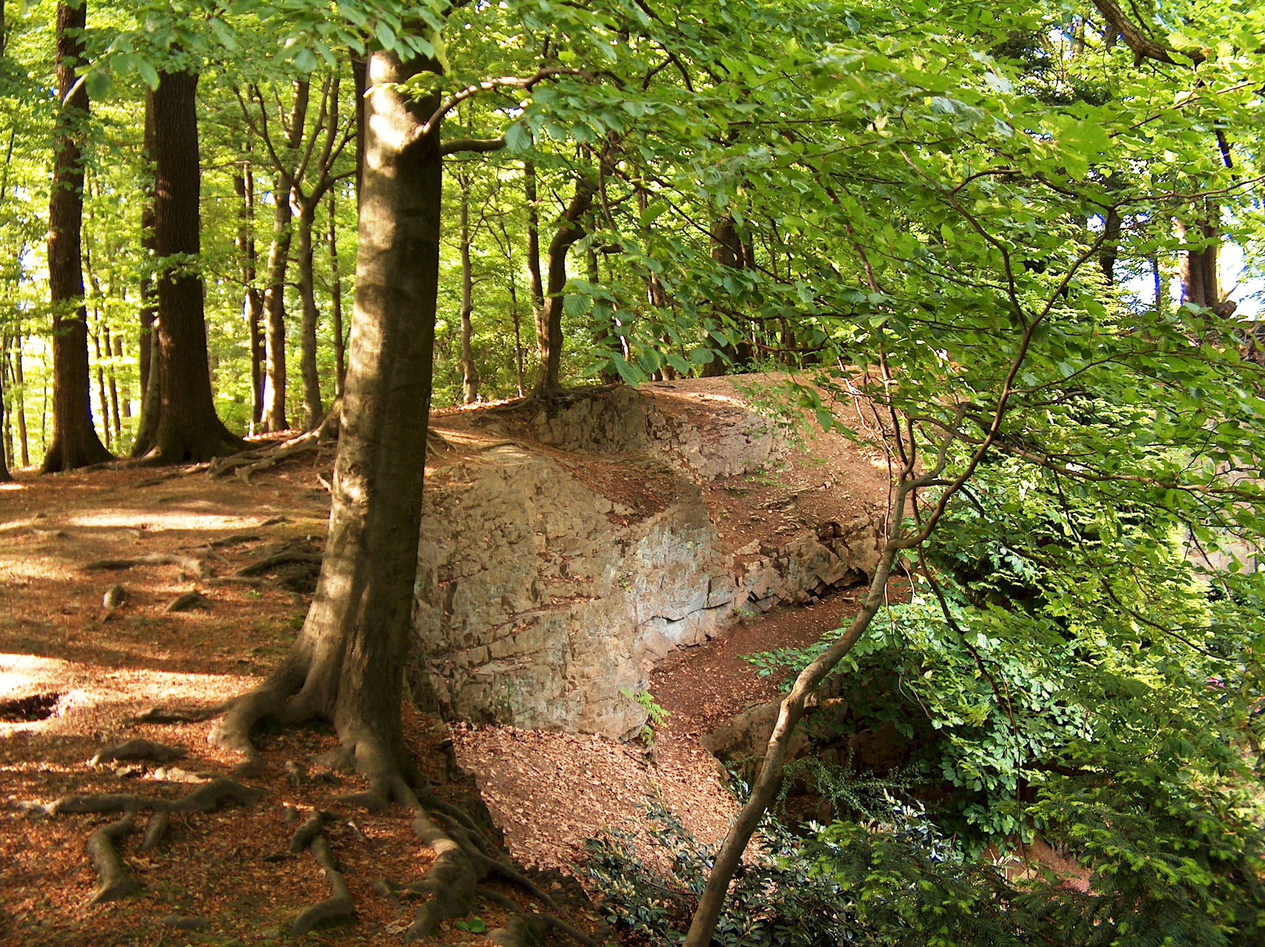 Kollenbergpark – Bild 3