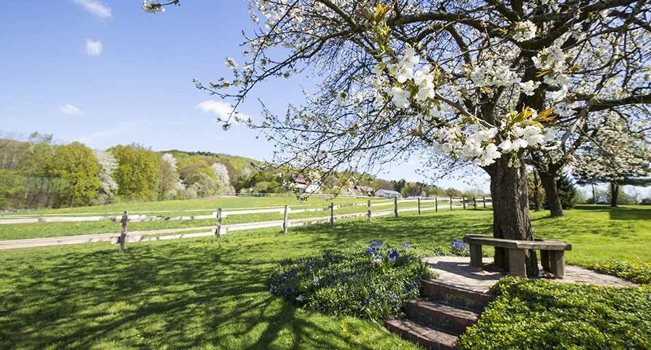 Hof Quest – Bild 5