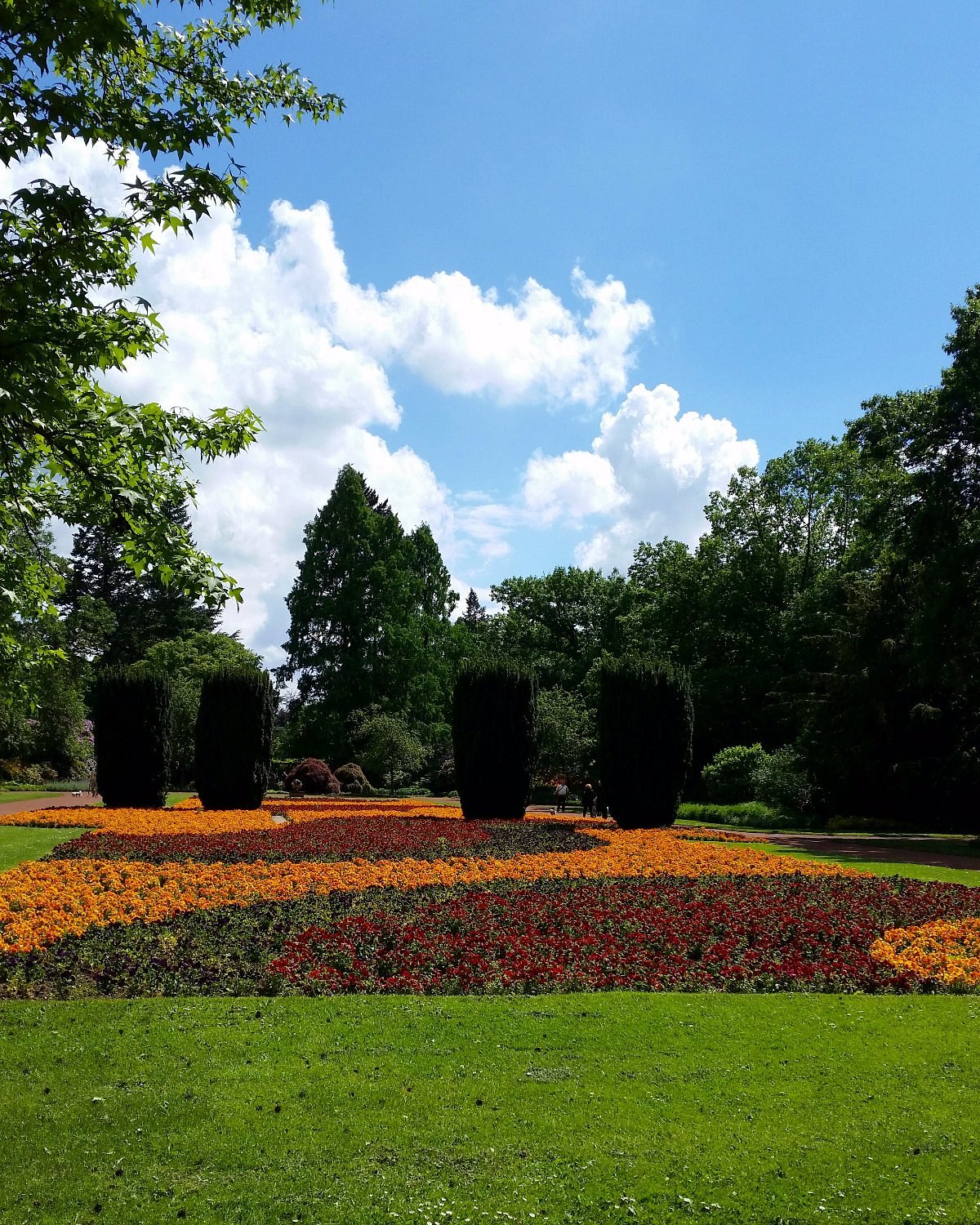 Bunter Garten – Bild 2