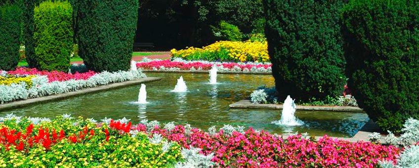 Bunter Garten – Bild 4