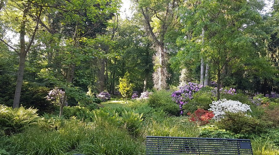 Bunter Garten – Bild 5