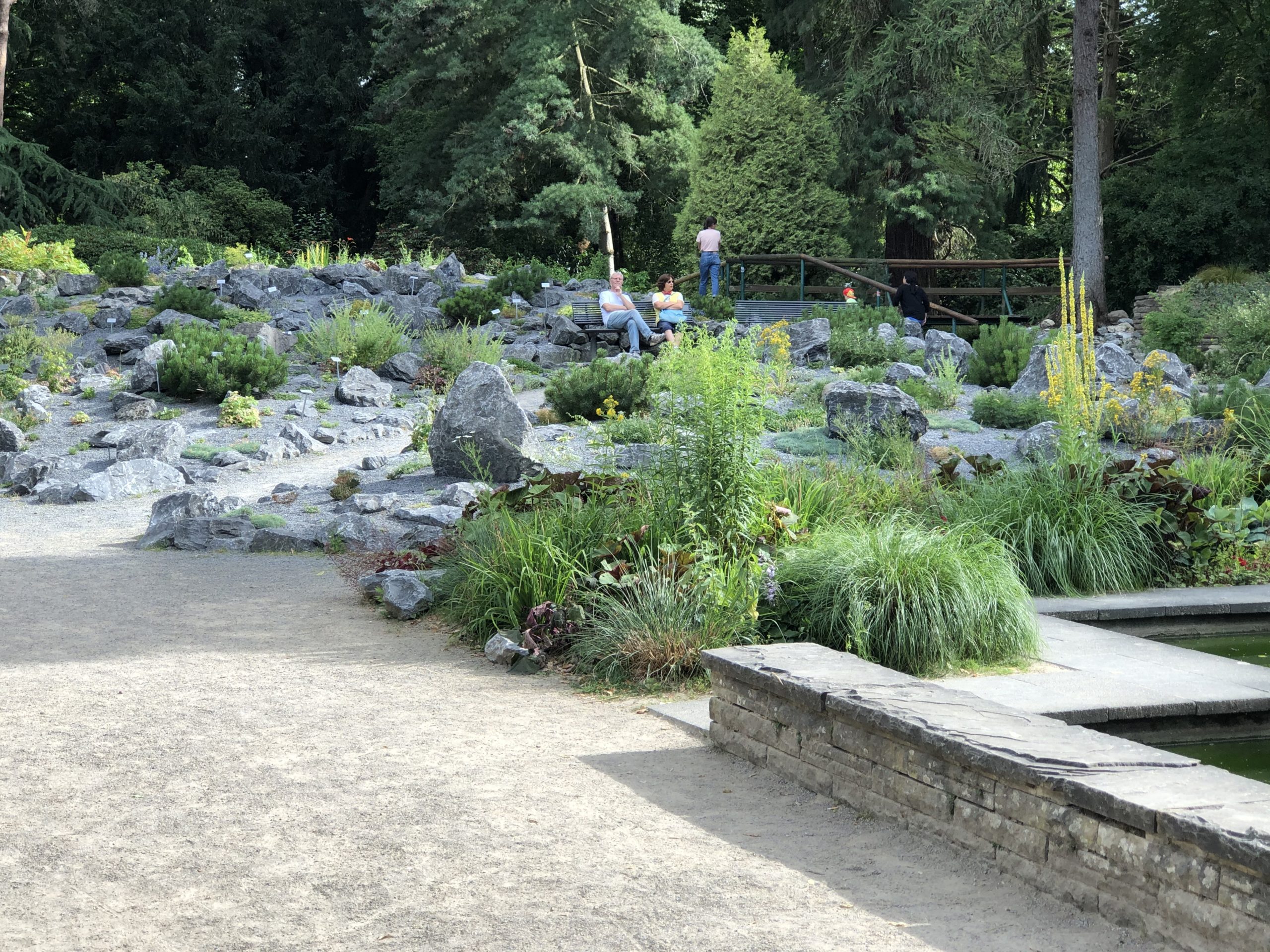 Bunter Garten – Bild 6