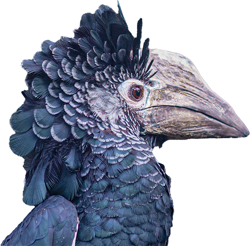 Tier- und Vogelpark e.V. – Bild 3