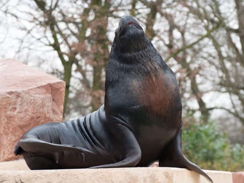 Tier- und Vogelpark e.V. – Bild 6