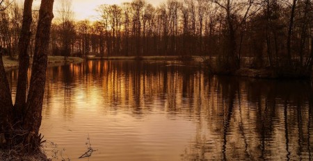 Grönenbergpark – Bild 5