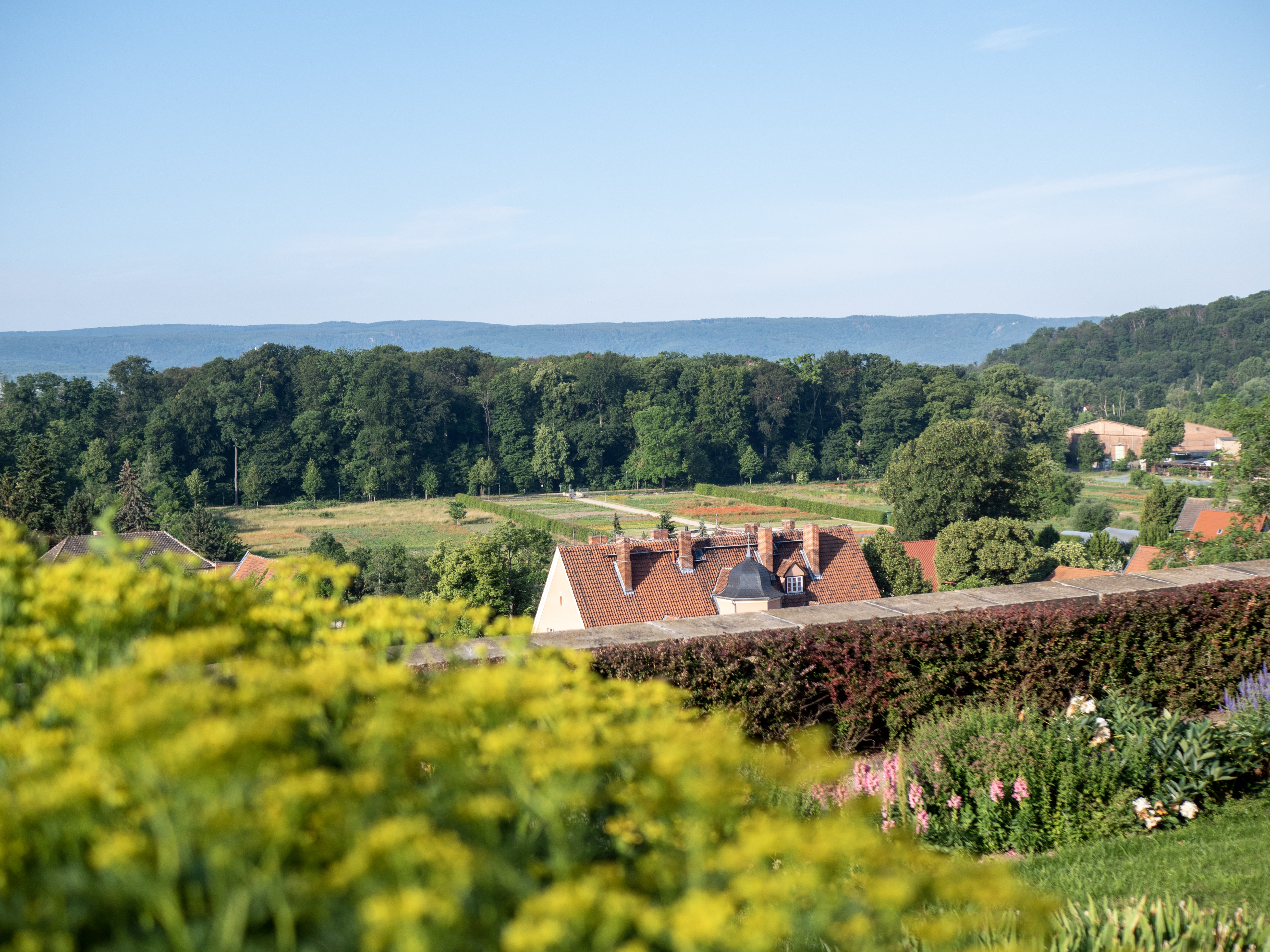 Brühlpark – Bild 1