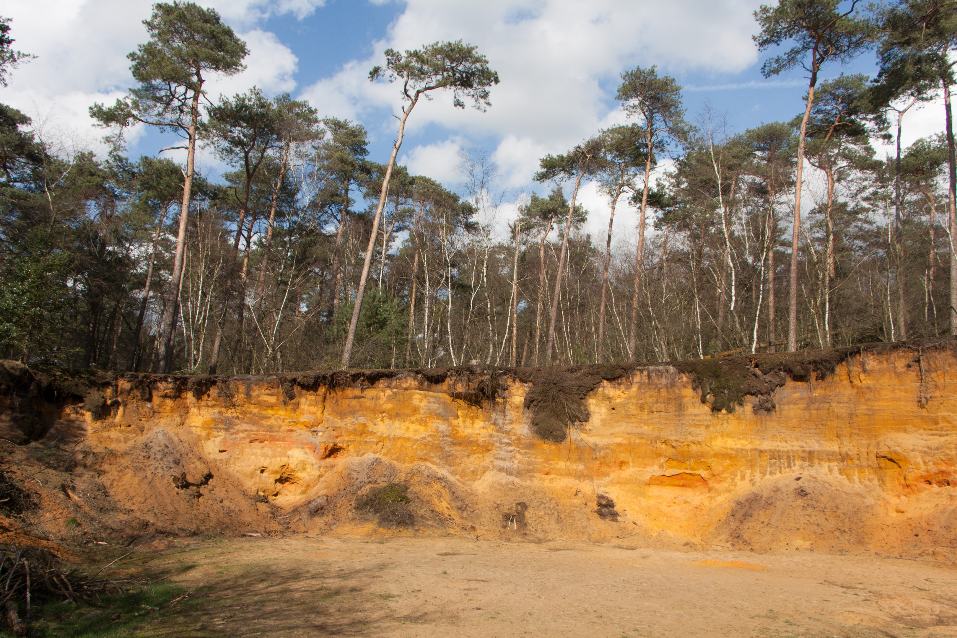 Kleine Sandkuhle Coesfeld Goxel – Bild 2